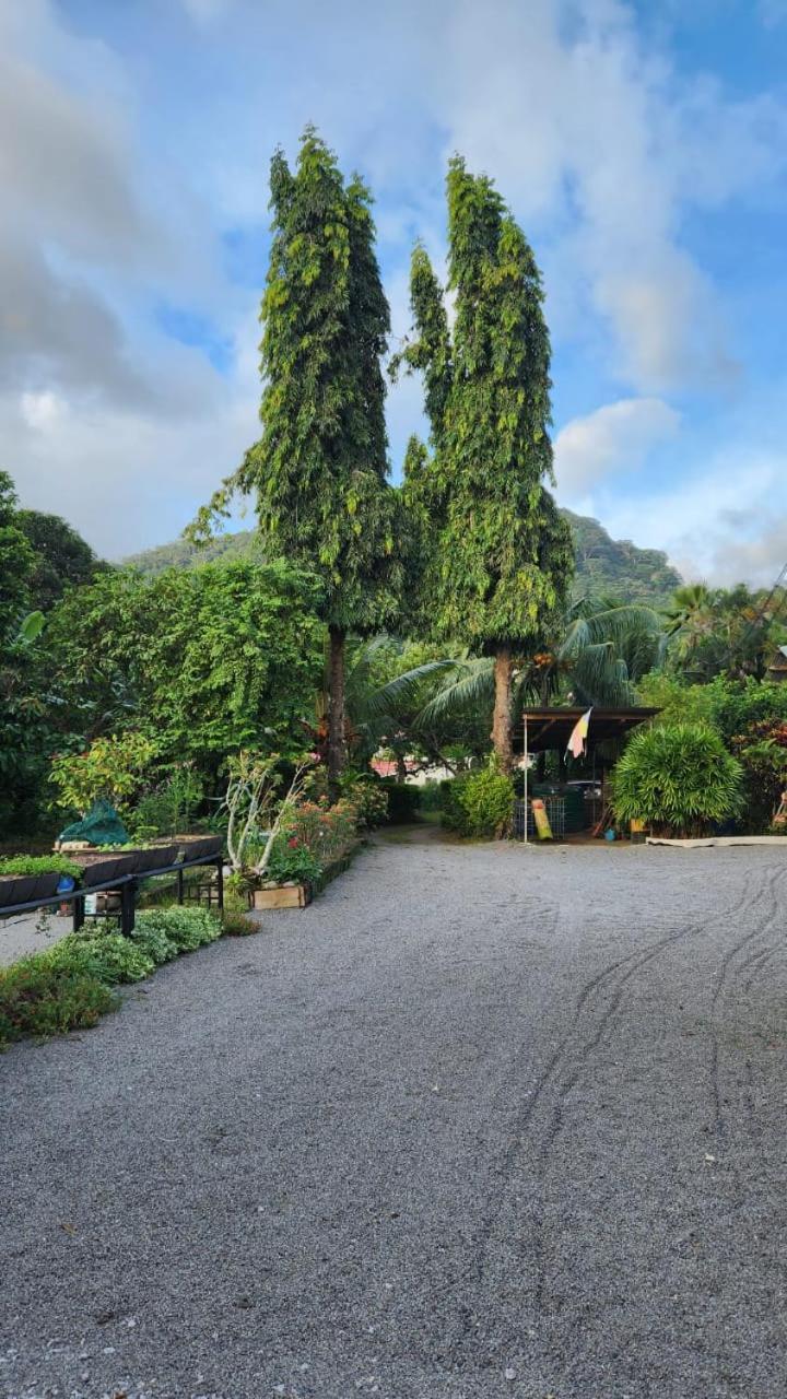 Green Self-Catering Apartment Beau Vallon  Exteriér fotografie